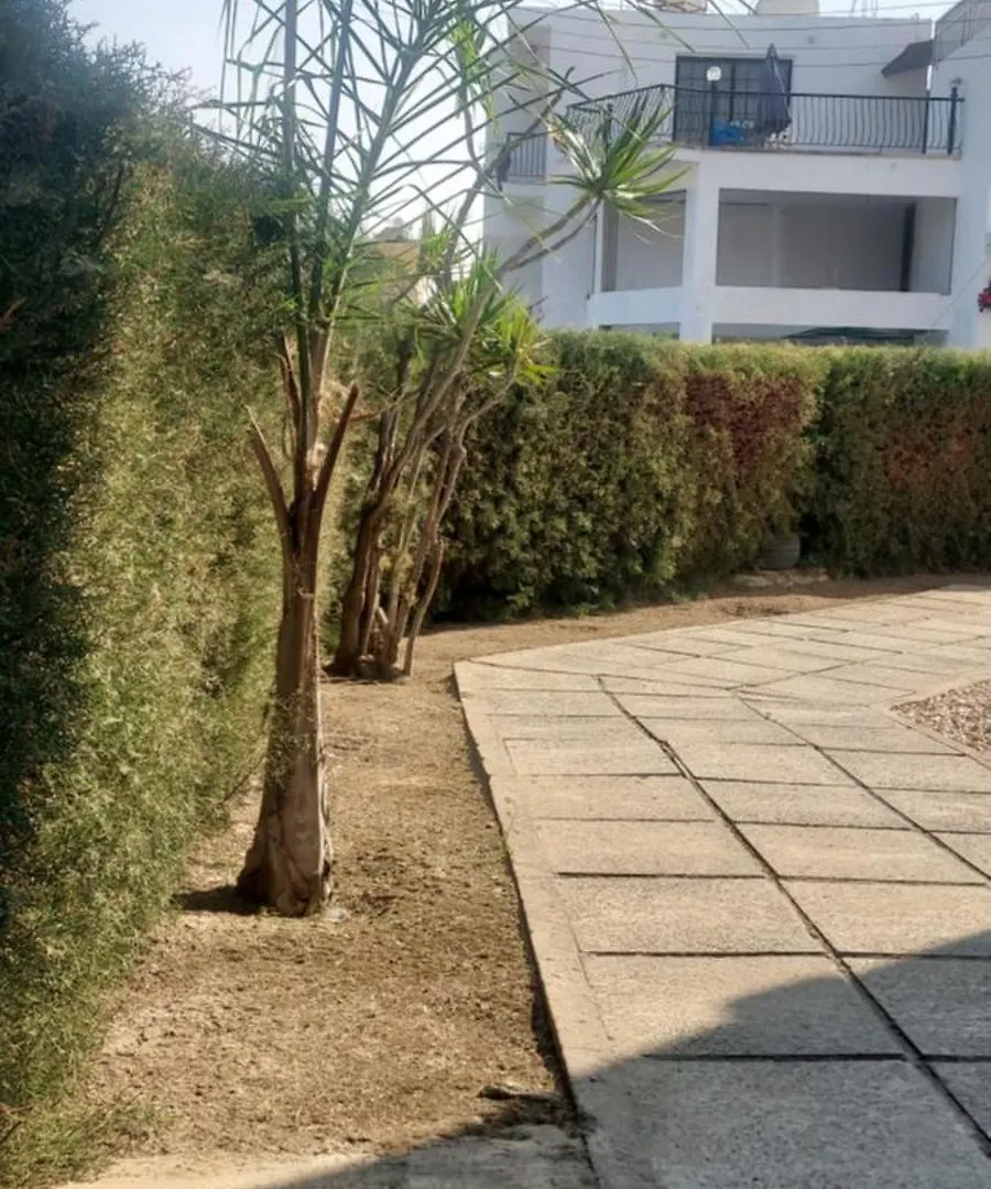Magic Sea Apartments Larnaca